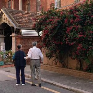 91在线无精精品㊙️一区
