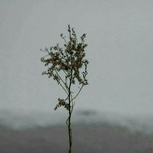 91在线无精精品㊙️一区
